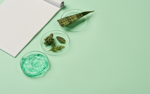 Aloe Vera Experiment Setup Theme  from Chrome web store to be run with OffiDocs Chromium online