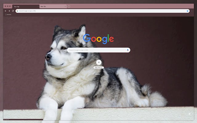 Alpine dog  from Chrome web store to be run with OffiDocs Chromium online