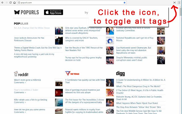 Alt Tag Overlay  from Chrome web store to be run with OffiDocs Chromium online