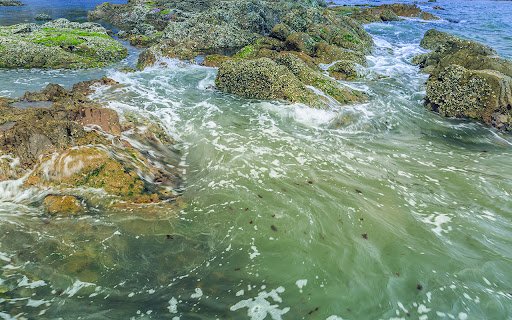 A majestic underwater natural scene  from Chrome web store to be run with OffiDocs Chromium online