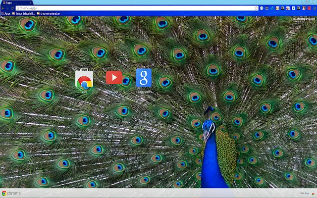 Chrome 网上商店的 Amazing Peafowl 将与 OffiDocs Chromium 在线运行