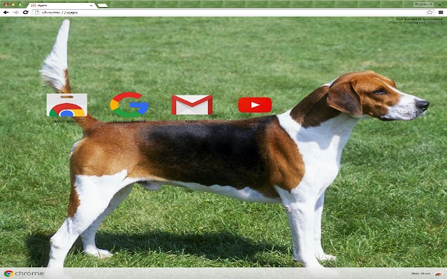 Tema American Foxhound dari kedai web Chrome untuk dijalankan dengan OffiDocs Chromium dalam talian