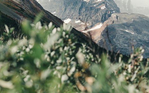 A Mountainside in Jasper National Park  from Chrome web store to be run with OffiDocs Chromium online