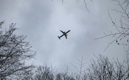 An airplane flying through the trees in a cloudy sky  from Chrome web store to be run with OffiDocs Chromium online