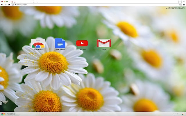 Chrome 网上商店的银莲花主题将与 OffiDocs Chromium 在线运行