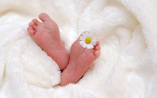 Angel feet  from Chrome web store to be run with OffiDocs Chromium online