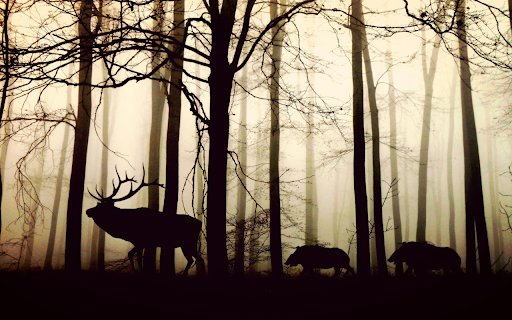 Animals in the old forest  from Chrome web store to be run with OffiDocs Chromium online