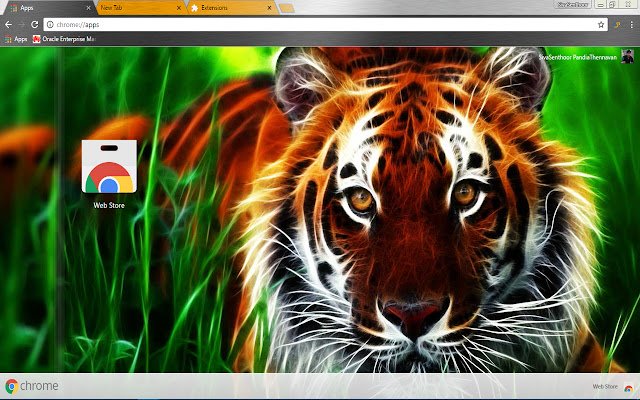 Animated Jungle Tiger Sharp eye Tiger  from Chrome web store to be run with OffiDocs Chromium online