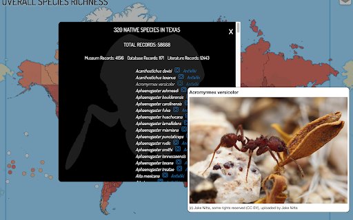 AntMaps Plus from Chrome web store to be run with OffiDocs Chromium online AntMaps Plus from Chrome web store to be run with OffiDocs Chromium online