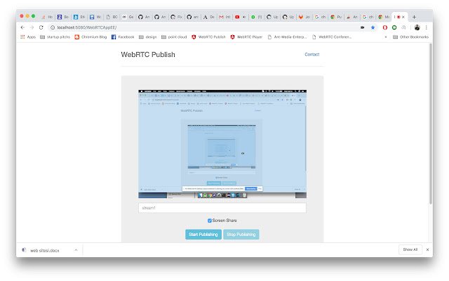 Ant Media Server Screen Share extension  from Chrome web store to be run with OffiDocs Chromium online