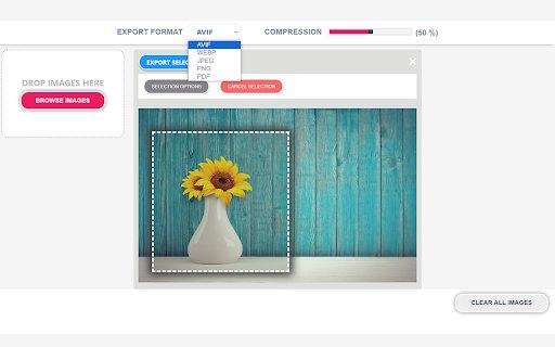 Any Image Converter  from Chrome web store to be run with OffiDocs Chromium online