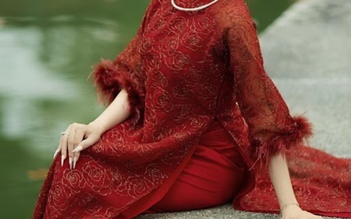 AO DAI THEME  from Chrome web store to be run with OffiDocs Chromium online