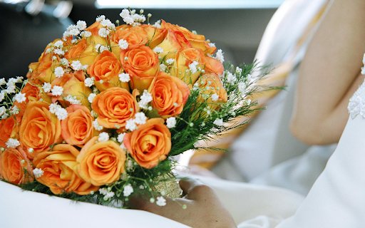 A Person Holding a Bouquet of Beautiful Orange Roses  from Chrome web store to be run with OffiDocs Chromium online