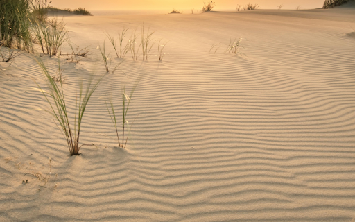 A Picturesque Shot of a Beach  from Chrome web store to be run with OffiDocs Chromium online