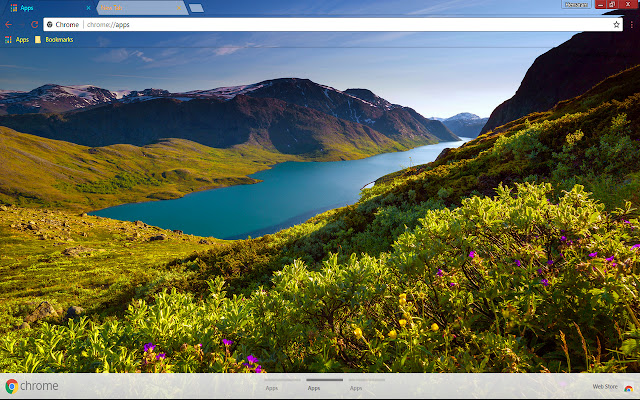 Appealing Nature из интернет-магазина Chrome будет работать с OffiDocs Chromium онлайн