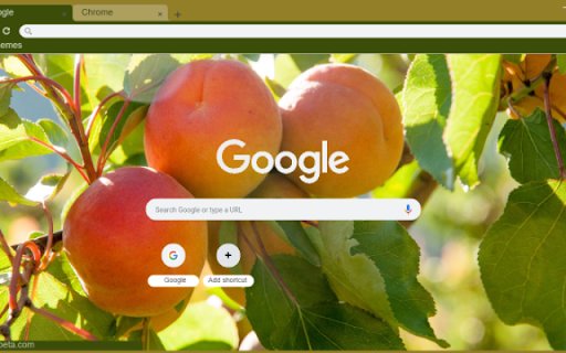 Apricot  from Chrome web store to be run with OffiDocs Chromium online