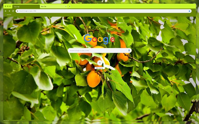 Apricots ໃນໃບໄມ້ຈາກ Chrome web store ທີ່ຈະດໍາເນີນການກັບ OffiDocs Chromium ອອນໄລນ໌