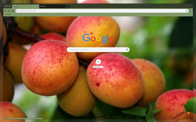 Абрикоси на гілці з веб-магазину Chrome для запуску за допомогою OffiDocs Chromium онлайн