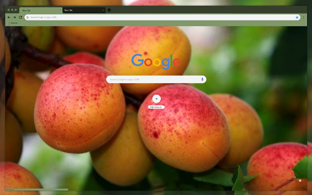 Aprikot di cabang dari toko web Chrome untuk dijalankan dengan OffiDocs Chromium online