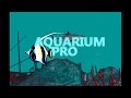AQUARIUM PRO (New Tab)  from Chrome web store to be run with OffiDocs Chromium online