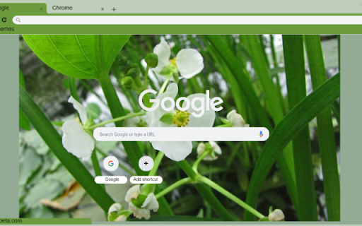 Arrowhead  from Chrome web store to be run with OffiDocs Chromium online