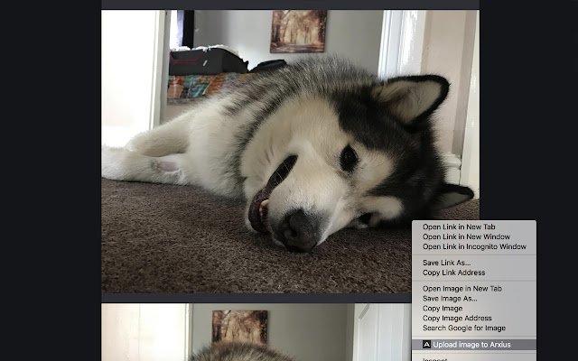 Arxius  from Chrome web store to be run with OffiDocs Chromium online