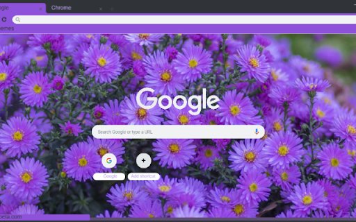 Aster  from Chrome web store to be run with OffiDocs Chromium online