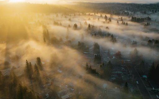 A sunrise over foggy trees and houses from Chrome web store to be run with OffiDocs Chromium online A sunrise over foggy trees and houses from Chrome web store to be run with OffiDocs Chromium online