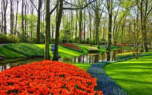 A Symphony of Spring Tulips by Water  from Chrome web store to be run with OffiDocs Chromium online