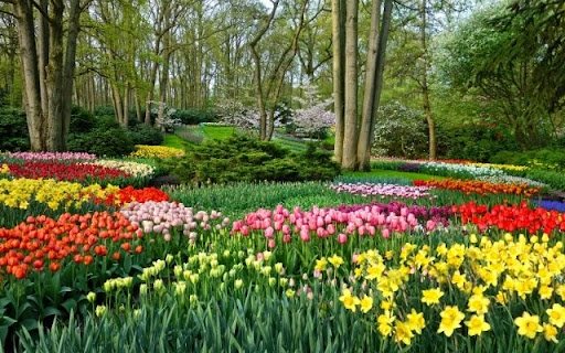 A Tapestry of Spring Blooms  from Chrome web store to be run with OffiDocs Chromium online