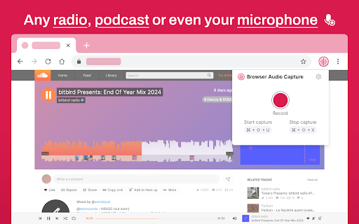 Audio Capture – Record Tab Sound in Chrome  from Chrome web store to be run with OffiDocs Chromium online