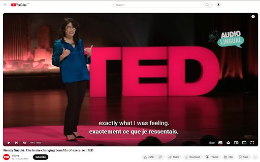 Audiolingual dual subtitles  from Chrome web store to be run with OffiDocs Chromium online