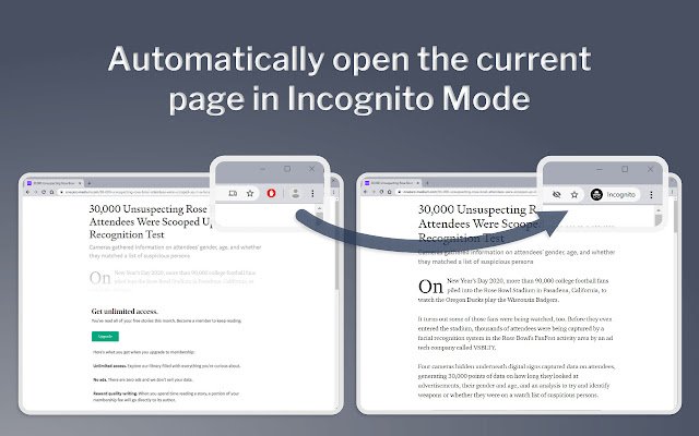 AutoIncognito  from Chrome web store to be run with OffiDocs Chromium online