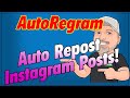 AutoRegram IG Auto Repost > Creator Studio  from Chrome web store to be run with OffiDocs Chromium online