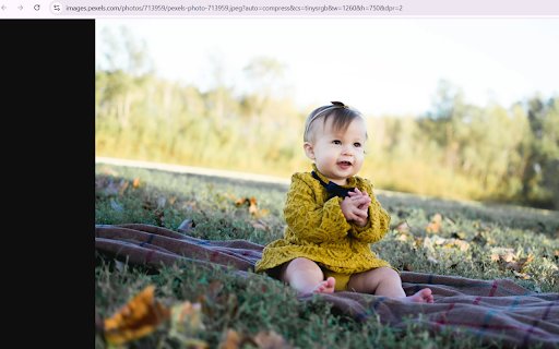 Autumn Afternoon Joy  from Chrome web store to be run with OffiDocs Chromium online
