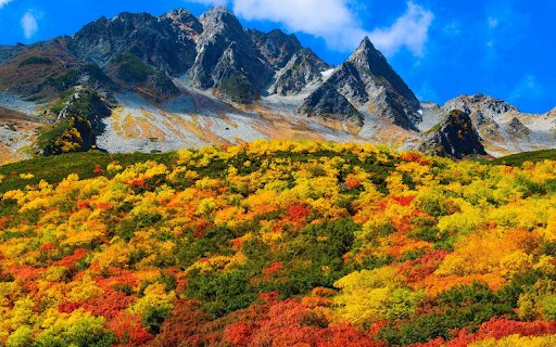 Autumnal Beauty  from Chrome web store to be run with OffiDocs Chromium online
