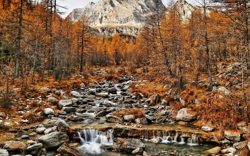 Autumnal Serenity  from Chrome web store to be run with OffiDocs Chromium online