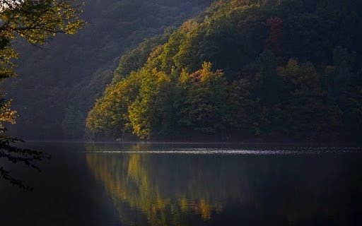 AUTUMN EVENING FOREST THEME  from Chrome web store to be run with OffiDocs Chromium online