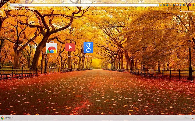 Autumn in New York 1366 X 768  from Chrome web store to be run with OffiDocs Chromium online
