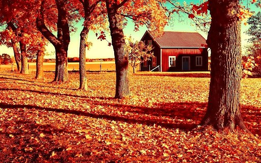 Autumn Retreat  from Chrome web store to be run with OffiDocs Chromium online