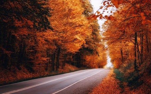 AUTUMN ROAD THEME  from Chrome web store to be run with OffiDocs Chromium online
