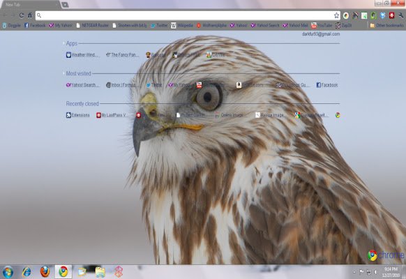AuzBuzz Hawk Theme  from Chrome web store to be run with OffiDocs Chromium online