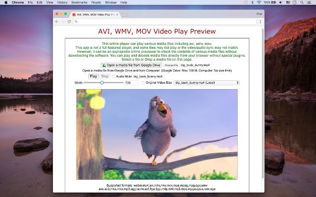 AVI, WMV, MOV Video Play Preview da Chrome Web Store para ser executado com OffiDocs Chromium online