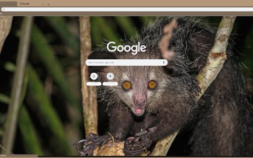 Aye Aye from Chrome web store to be run with OffiDocs Chromium online Aye Aye from Chrome web store to be run with OffiDocs Chromium online