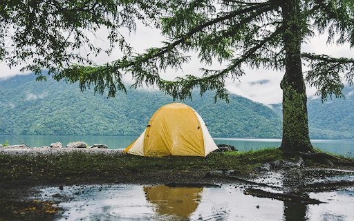 A Yellow Tent beside a Tree  from Chrome web store to be run with OffiDocs Chromium online