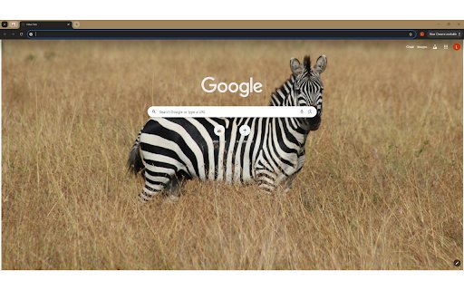 A Zebra in a Grassland from Chrome web store to be run with OffiDocs Chromium online A Zebra in a Grassland from Chrome web store to be run with OffiDocs Chromium online