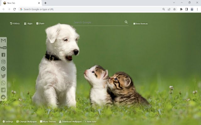 Baby Animals טפט כרטיסייה חדשה מחנות האינטרנט של Chrome להפעלה עם OffiDocs Chromium באינטרנט