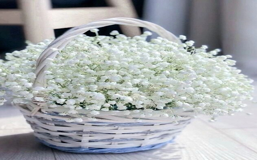 Babys Breath flower basket wallpaper  from Chrome web store to be run with OffiDocs Chromium online