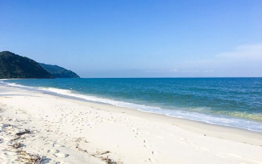 Bai bien Ngoc Hoang from Chrome web store to be run with OffiDocs Chromium online Bai bien Ngoc Hoang from Chrome web store to be run with OffiDocs Chromium online