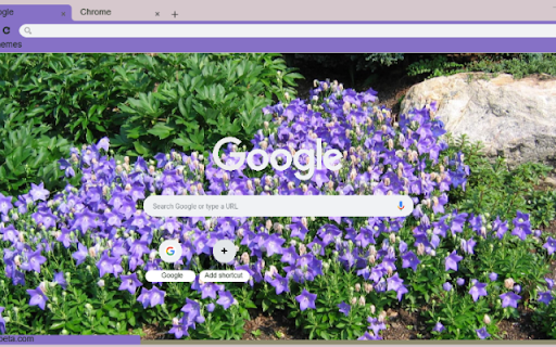 Balloon Flower  from Chrome web store to be run with OffiDocs Chromium online